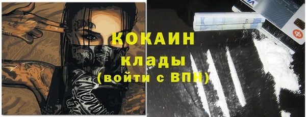крисы Арсеньев