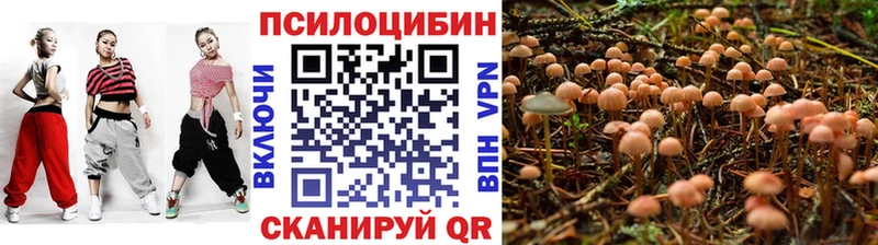 Псилоцибиновые грибы Psilocybine cubensis Новая Ладога