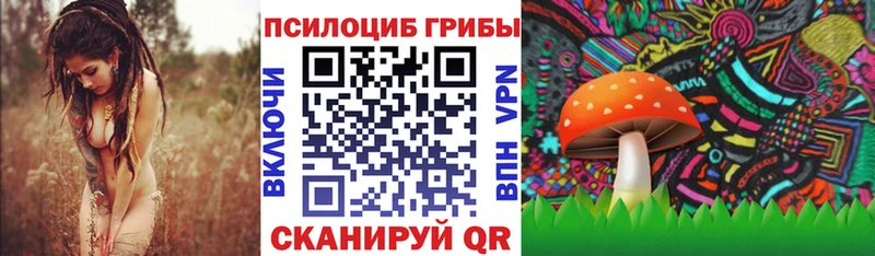 Псилоцибиновые грибы прущие грибы Новая Ладога