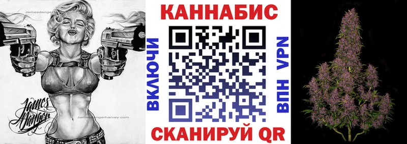 Бошки Шишки план Новая Ладога